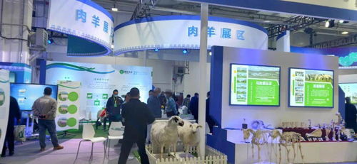 第八屆內(nèi)蒙古綠色農(nóng)畜產(chǎn)品博覽會(huì)暨優(yōu)良品種推廣會(huì) 創(chuàng)新服務(wù)模式，擘畫綠色發(fā)展新藍(lán)圖